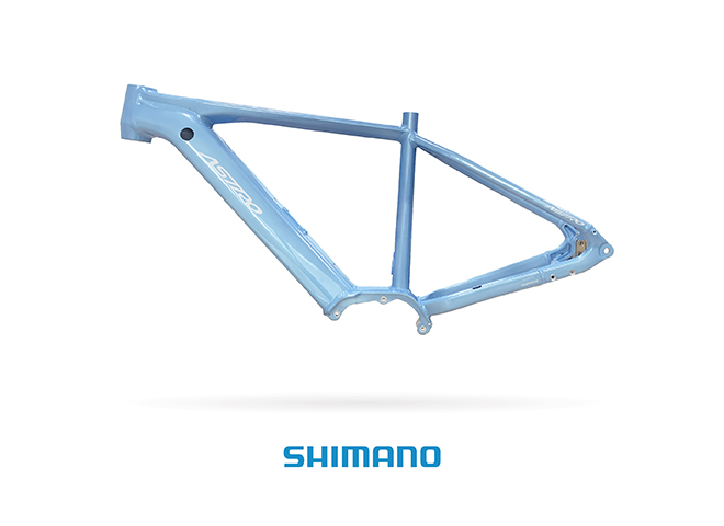 E-Hardtail / AHSEJ