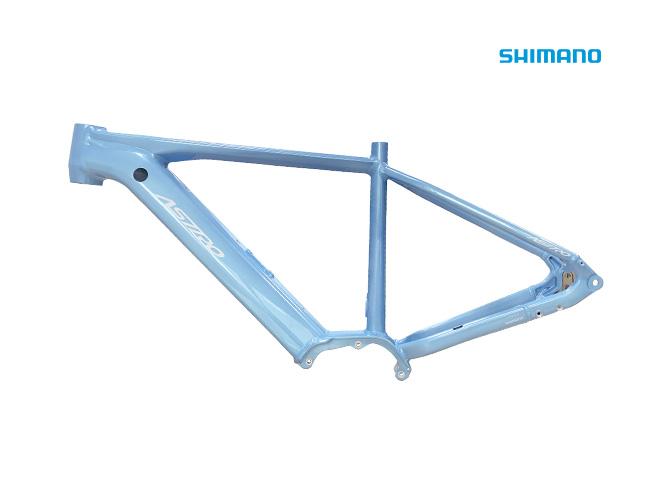 E-Hardtail / AHSEJ